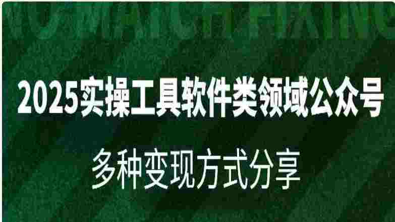 2025实操工具软件类领域公众号，多种变现方式分享