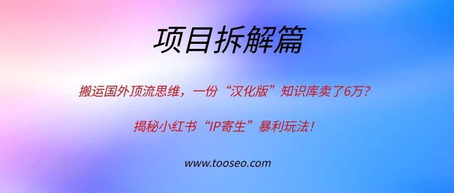 搬国外顶流思维，一份“汉化版”知识库卖了6万？揭秘小红书“IP寄生”暴利玩法！