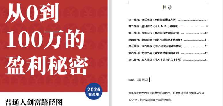 《从零到100万的盈利秘密》