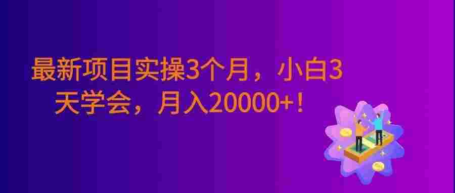 最新项目实操3个月,0基础小白3天学会,赚钱20000+!