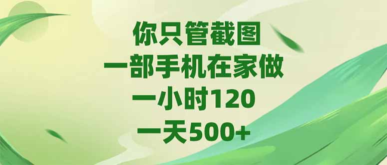你只管截图，一部手机在家做，一小时120，-天500+