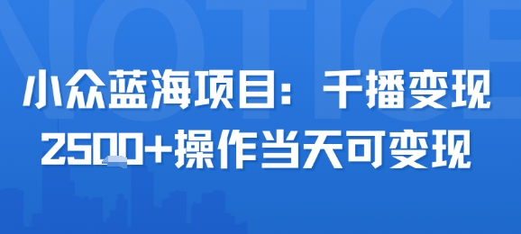 小众蓝海项目，千播变现2.5k+操作当天可变现