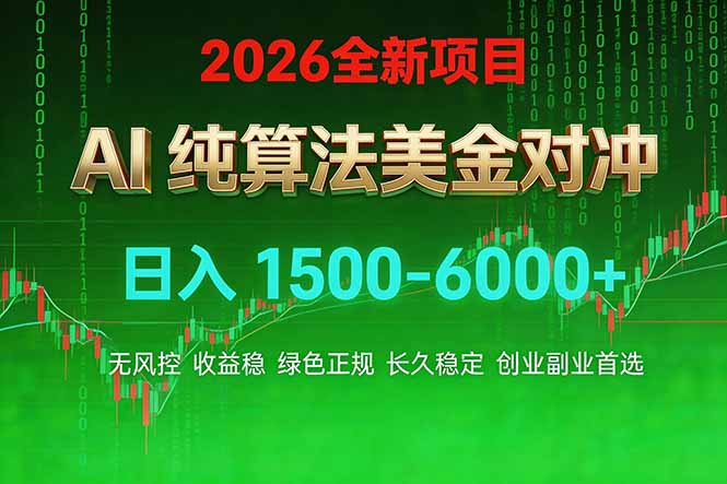 2026 全新美金对冲项目，不套平台赠金，不封号，纯算法，日入 1500-6000+