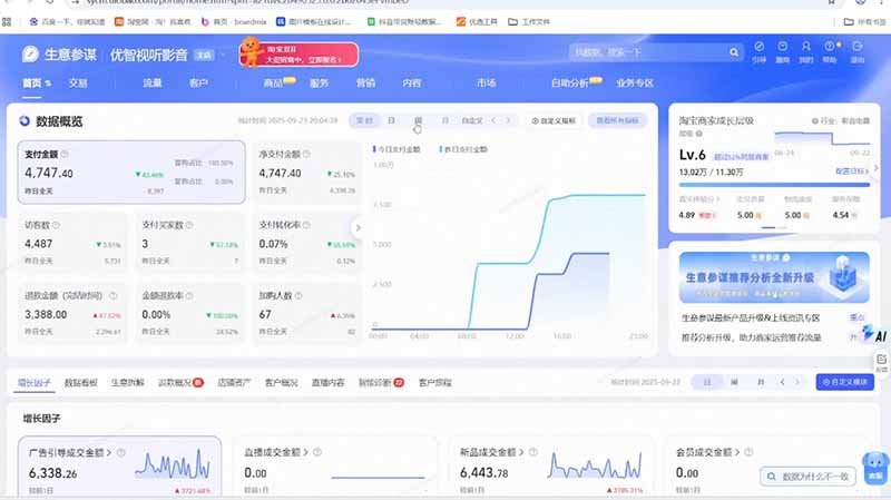淘宝VIP特训课：蓝海选品+付费投放｜短视频AI运营｜大促起爆全流程，破解店铺无流量无利润难题