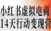 小红薯虚拟电商14天变现训练营