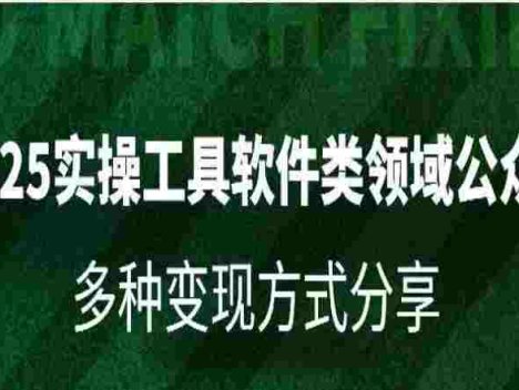 2025实操工具软件类领域公众号，多种变现方式分享
