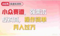 2026年就做小众赛道，强需求，复购高，号称月入过万