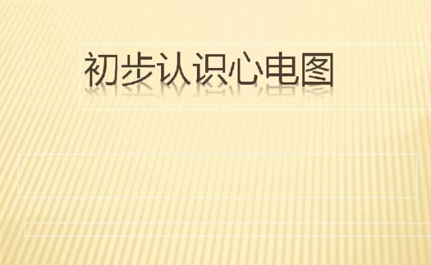 初步认识心电图