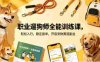 职业遛狗师全能训练课，轻松入行，稳定接单，开启宠物赛道副业