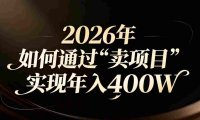 2026年如何通过“卖项目”实现年入百万