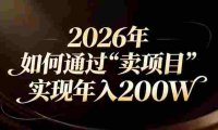 站在2026年的十字路口:一个普通人如何通过卖项目实现年入200万