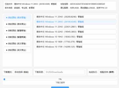 Windows镜像文件下载工具，一站式解决装机难题！