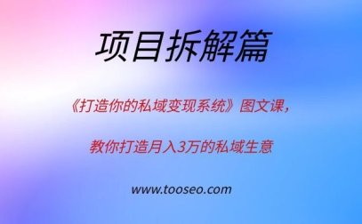 《打造你的私域变现系统》,教你打造月入3万的私域生意