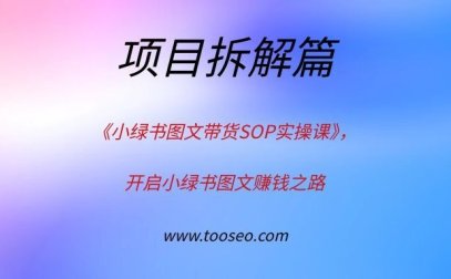 《小绿书图文带货SOP实操课》,开启小绿书图文赚钱之路