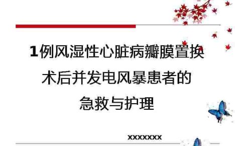 1例风湿性心脏病瓣膜置换术后并发电风暴患者的急救与护理