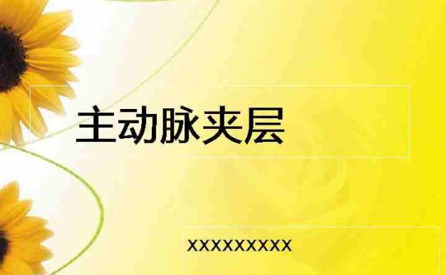 主动脉夹层-讲课课件
