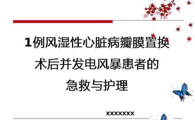 1例风湿性心脏病瓣膜置换术后并发电风暴患者的急救与护理