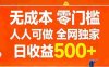 无成本，零门槛，人人可做，全网独家，号称日入500+