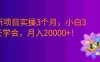 最新项目实操3个月，0基础小白3天学会，赚钱20000+！