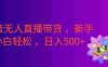 某音无人直播带货 ，一台电脑即可操作 ，可多开账号， 无脑操作，号称日入500+