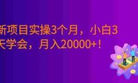 最新项目实操3个月,0基础小白3天学会,赚钱20000+!