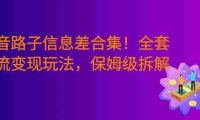 某音野路子信息差合集!全套引流变现玩法,保姆级拆解