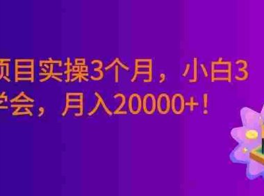 最新项目实操3个月,0基础小白3天学会,赚钱20000+!
