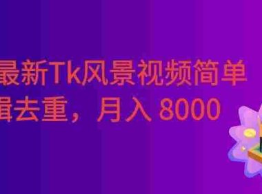 2026最新TikTok风景视频，简单剪辑去重，号称月入8000