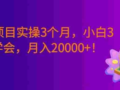 最新项目实操3个月,0基础小白3天学会,赚钱20000+!