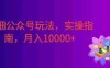 精细公众号玩法，实操指南，快速变现，号称月入10000+