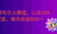 视频号巨火赛道，心灵SPA赛道，做起来超简单，号称日入800+！