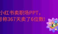 小红书卖职场PPT,367天卖了6位数,从0-1全流程讲解