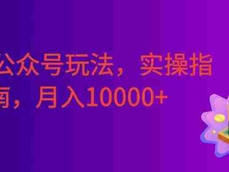 精细公众号玩法，实操指南，快速变现，号称月入10000+