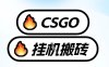 真全网独家CSGO挂G，最新玩法,单日捡漏1K+，不用电脑，不用打游戏【揭秘】