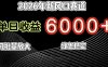2026年新风口赛道，当日6000+以上，可批量放大，月收入20万+，长期绿色稳定的项目