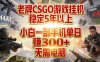 老牌CSGO游戏挂G，稳定5年以上，小白一部手机单日賺3张+，无需电脑【揭秘】