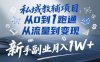 私域教辅项目，从0到1跑通，从流量到变现，新手副业月入1W+
