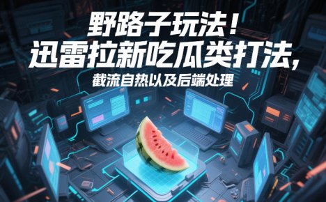 野路子玩法！迅雷拉新吃瓜类打法，截流自热以及后端处理