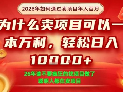 一单净利润1K+,26年想年入100个W,死磕卖项目就够了【揭秘】
