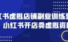 小红书虚拟店铺副业训练营1.0，小红书开店卖虚拟资料