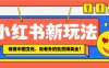 小红书流量新玩法，传播中国传统文化的同时，做老外的生意赚美金！