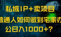私域IP+卖项目，普通人如何做到宅家办公实现日入1000+