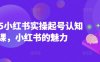 2025小红书实操起号认知课，小红书的魅力