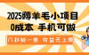 2025薅羊毛小项目，0成本 手机可做，几秒钟一单，收益无上限