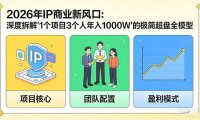2026年IP商业新风口:深度拆解“1个项目3个人年入1000W”的极简超盘全模型