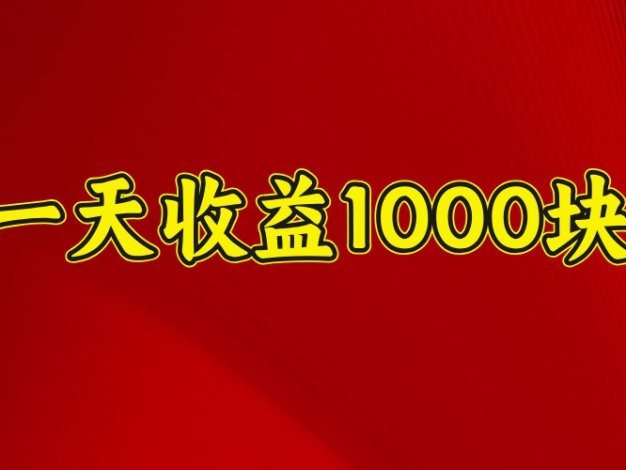 一天收益1000块，2025全网首发