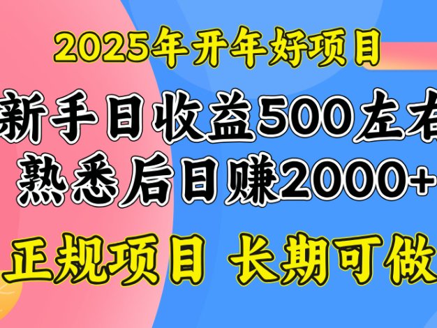 2025开年好项目，单号日收益2000左右