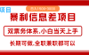 全年风口红利项目 日入2000+ 新人当天上手见收益 长期稳定