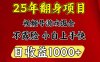 一天收益1000+ 25年开年落地好项目