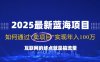 2025最新蓝海项目，零门槛轻松复制，月入10万+，新手也能操作！